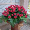 Фото товару 50 красных роз с зеленью в корзине
